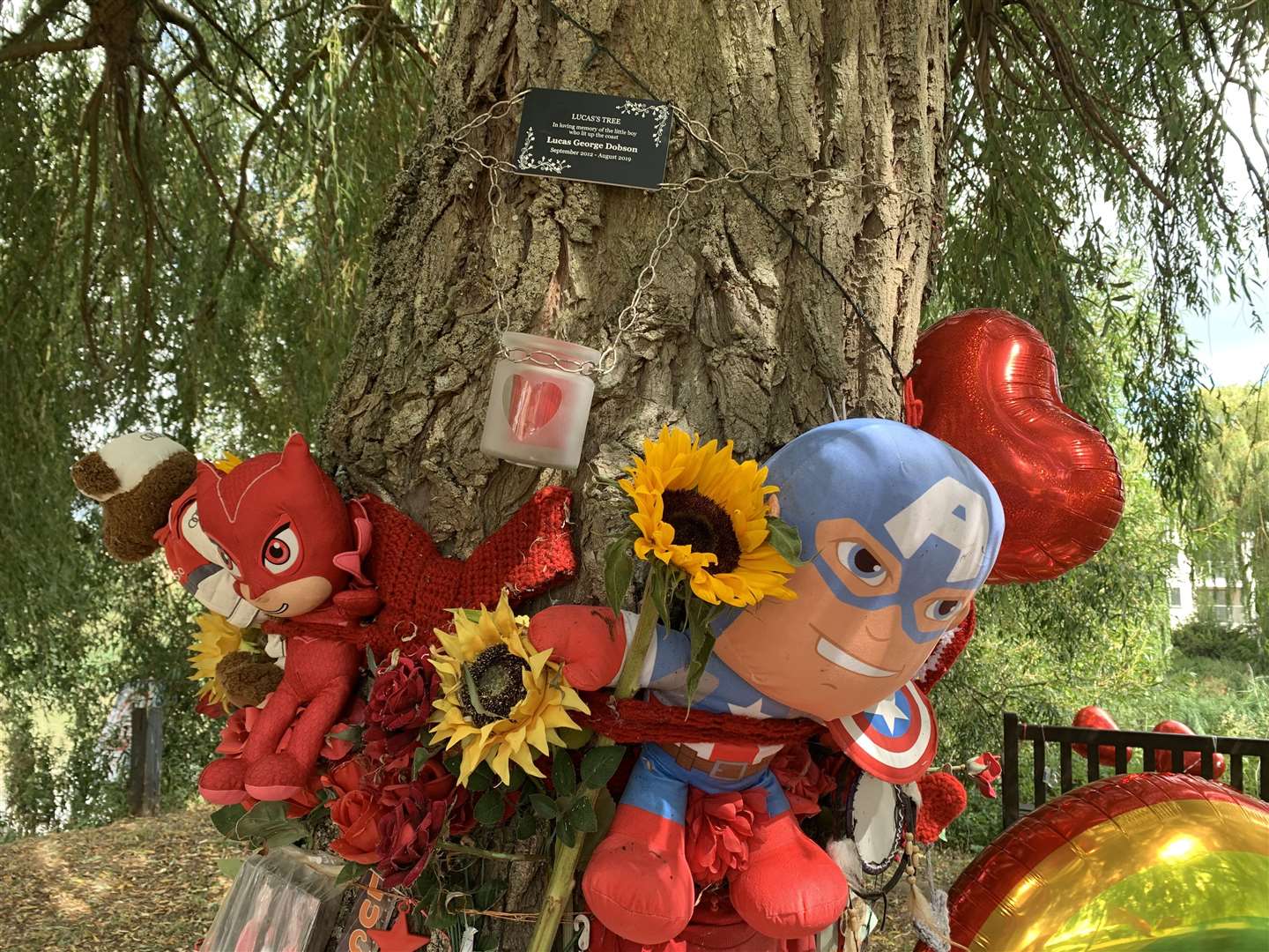 Flowers and teddies have been tied to the tree on the first anniversary of Lucas Dobson's death