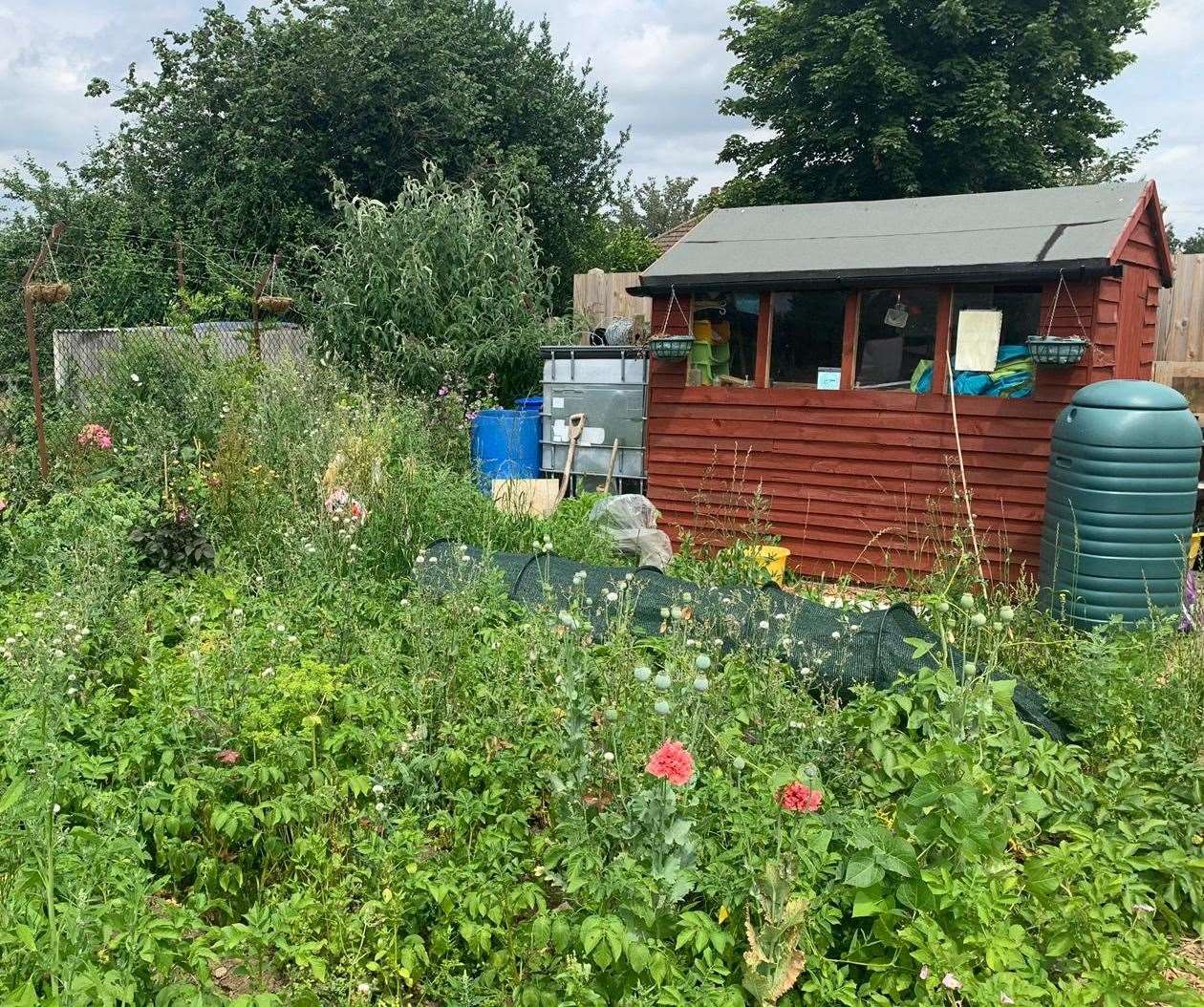 The Shepway Chariot garden is for the community to use and learn about growing vegetables