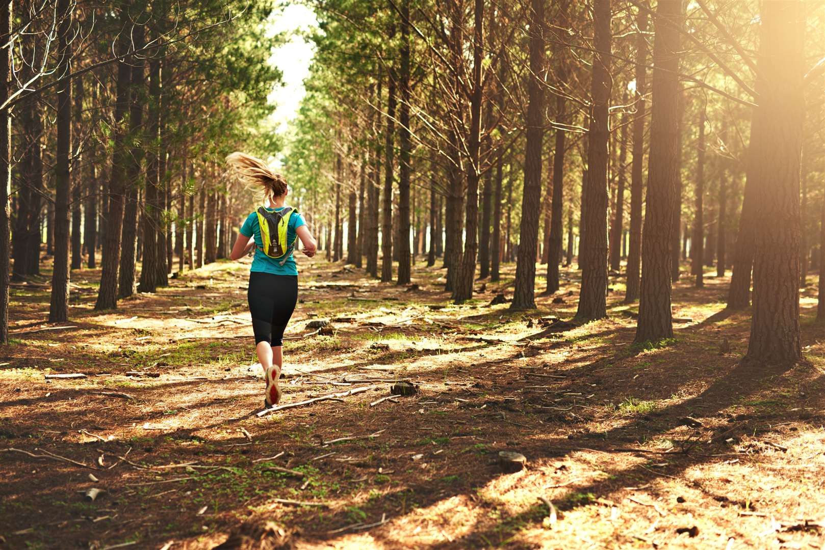 Running in the forest is better for your joints