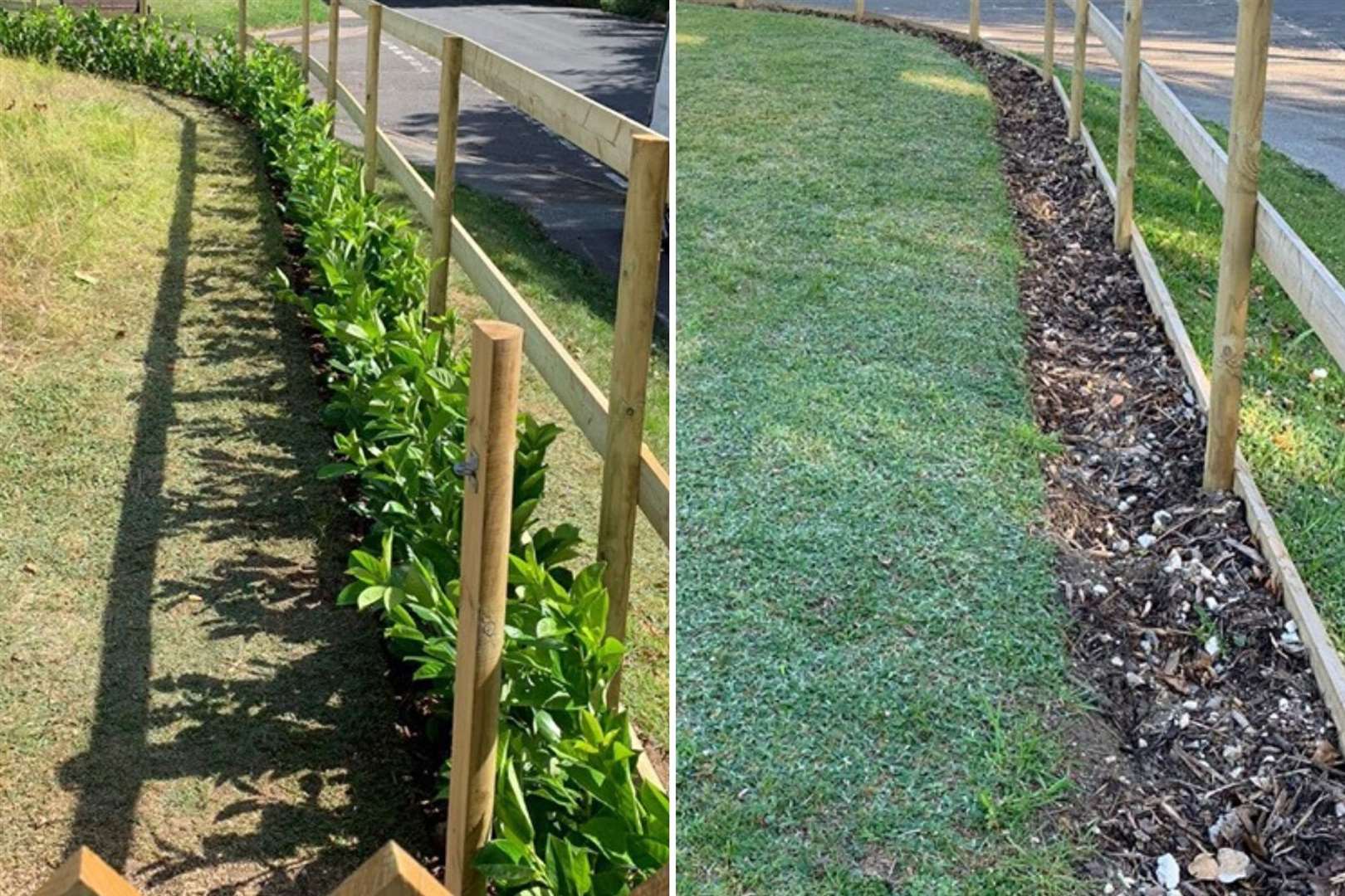 Before and after the first theft. Picture: Jason park/JM Landscape Services