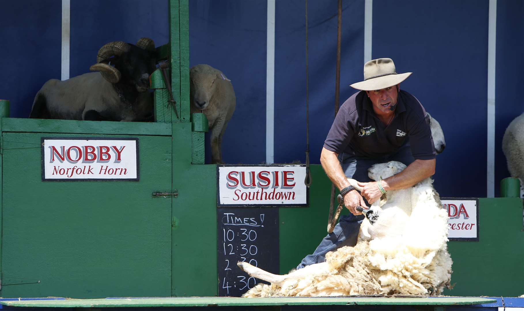The Sheep Show at the county show Picture: Andy Jones