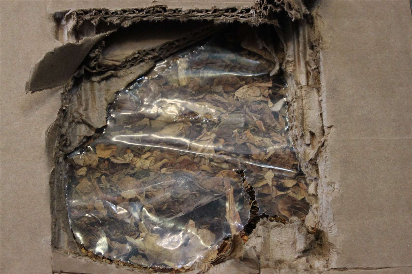 Tobacco found by Customs officers in the investigation. Picture: HM Revenue and Customs