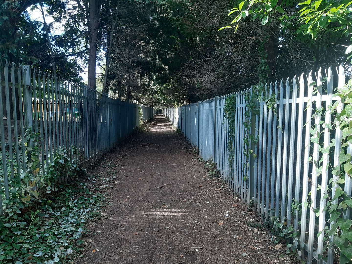 The footpath beside Maidstone Cemetery which off-road bikers like to use as a dirt-track