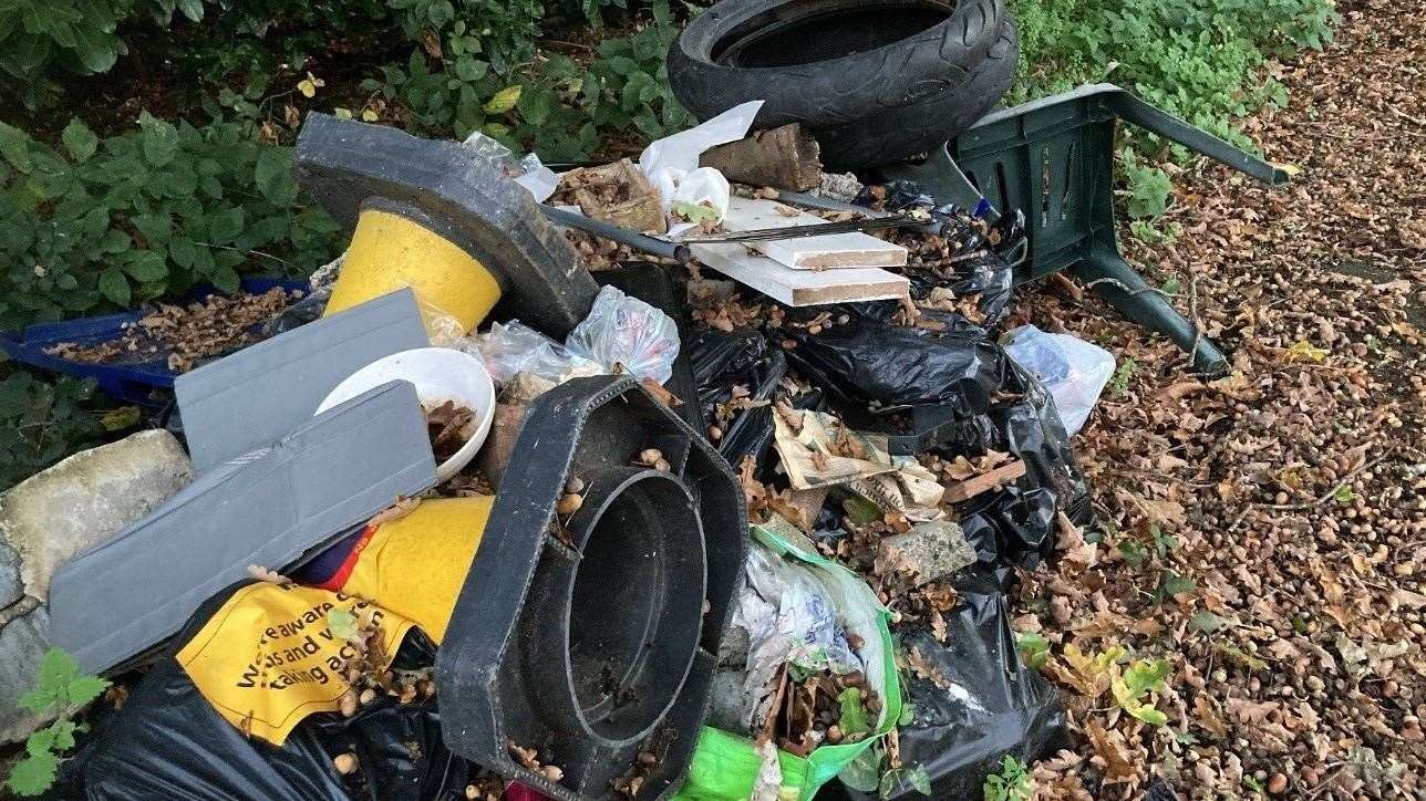 Waste in Long Meadow Way, Canterbury, last month