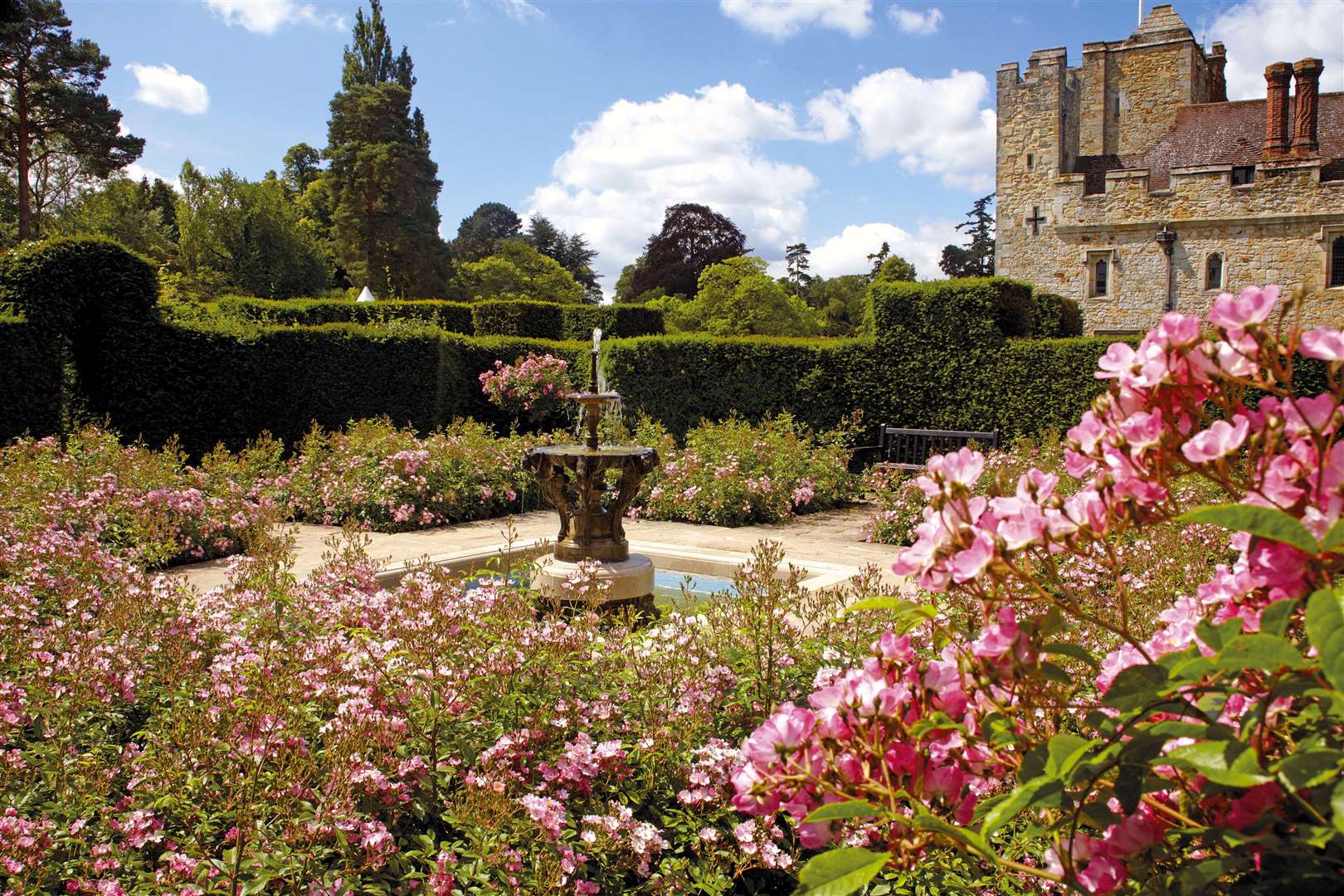 Hever in Bloom is a display of 5,000 roses at Hever Castle. Picture: Hever Castle and Gardens