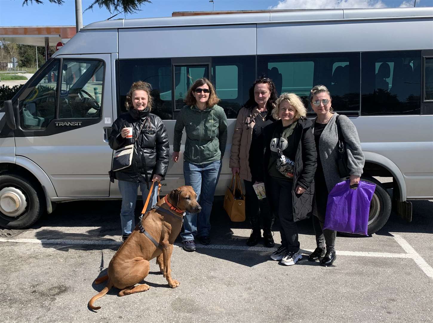 Passengers, including a Rhodesian ridgeback, on a trip bound for Spain and Portugal. Picture: Francis Wildman