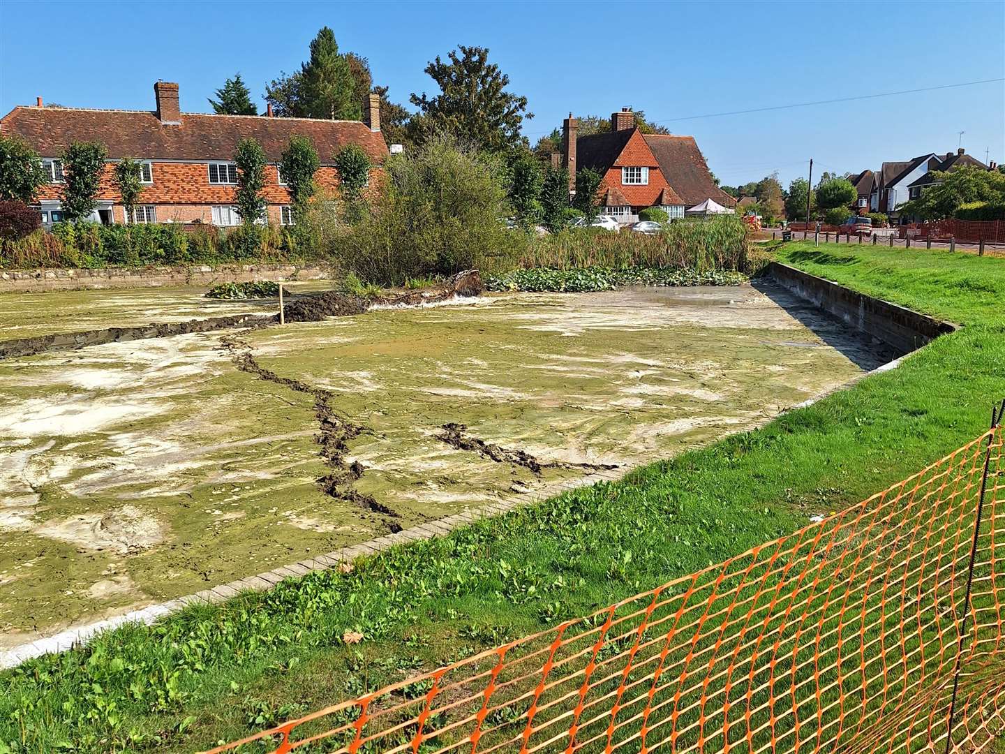 Matfield Village Pond has had to be drained to remove the invasive fish