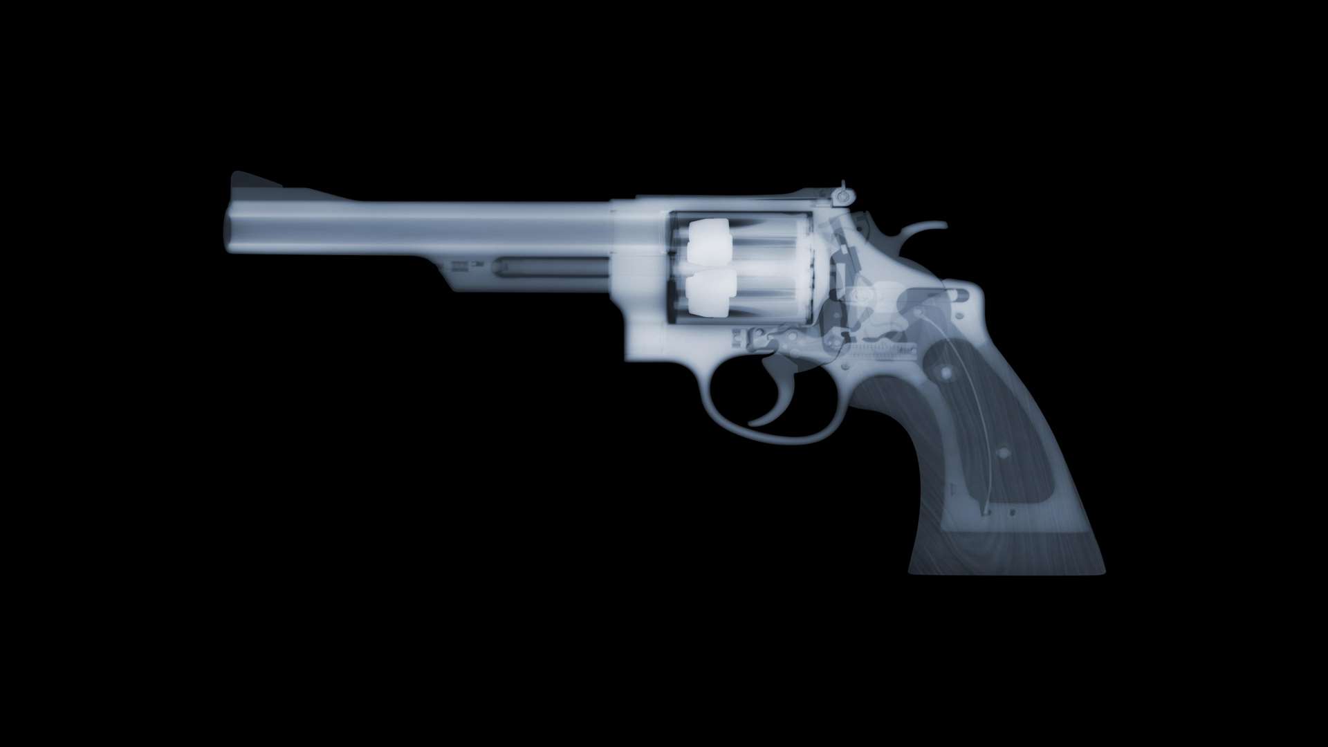 X-ray of a magnum, like the one Clint Eastwood wielded in the Dirty Harry films