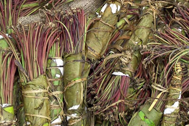 Khat was recently classified as a class C drug