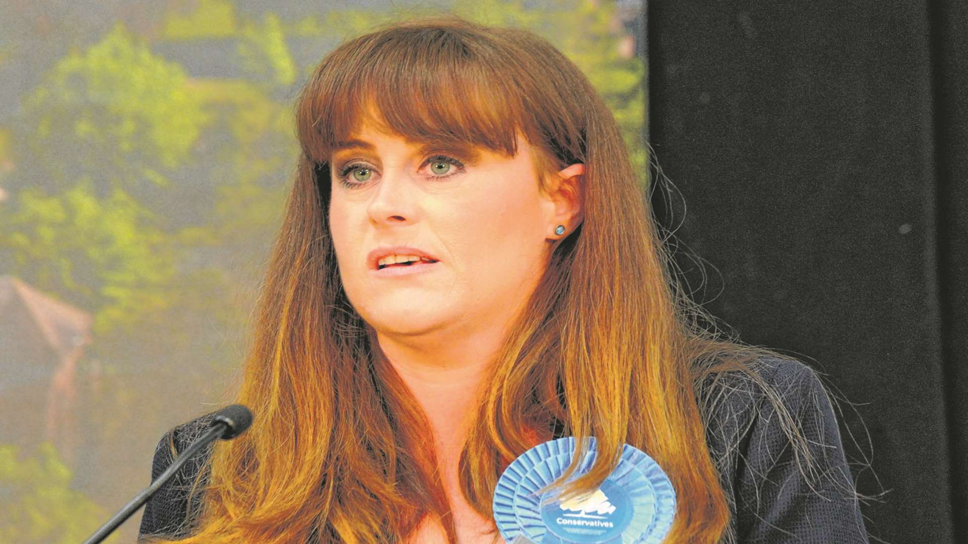 Kelly Tolhurst (Con) resigned after she was appointed a government whip in January