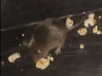 A rat was seen eating popcorn at the ODEON Luxe in Lockmeadow Entertainment Centre in Maidstone