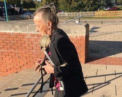 Tanya Green was banned from keeping dogs for the next 10 years and given a suspended jail sentence (4503375)