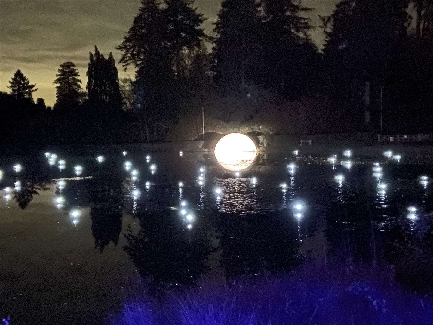 Photos can't do the moon and stars installation justice
