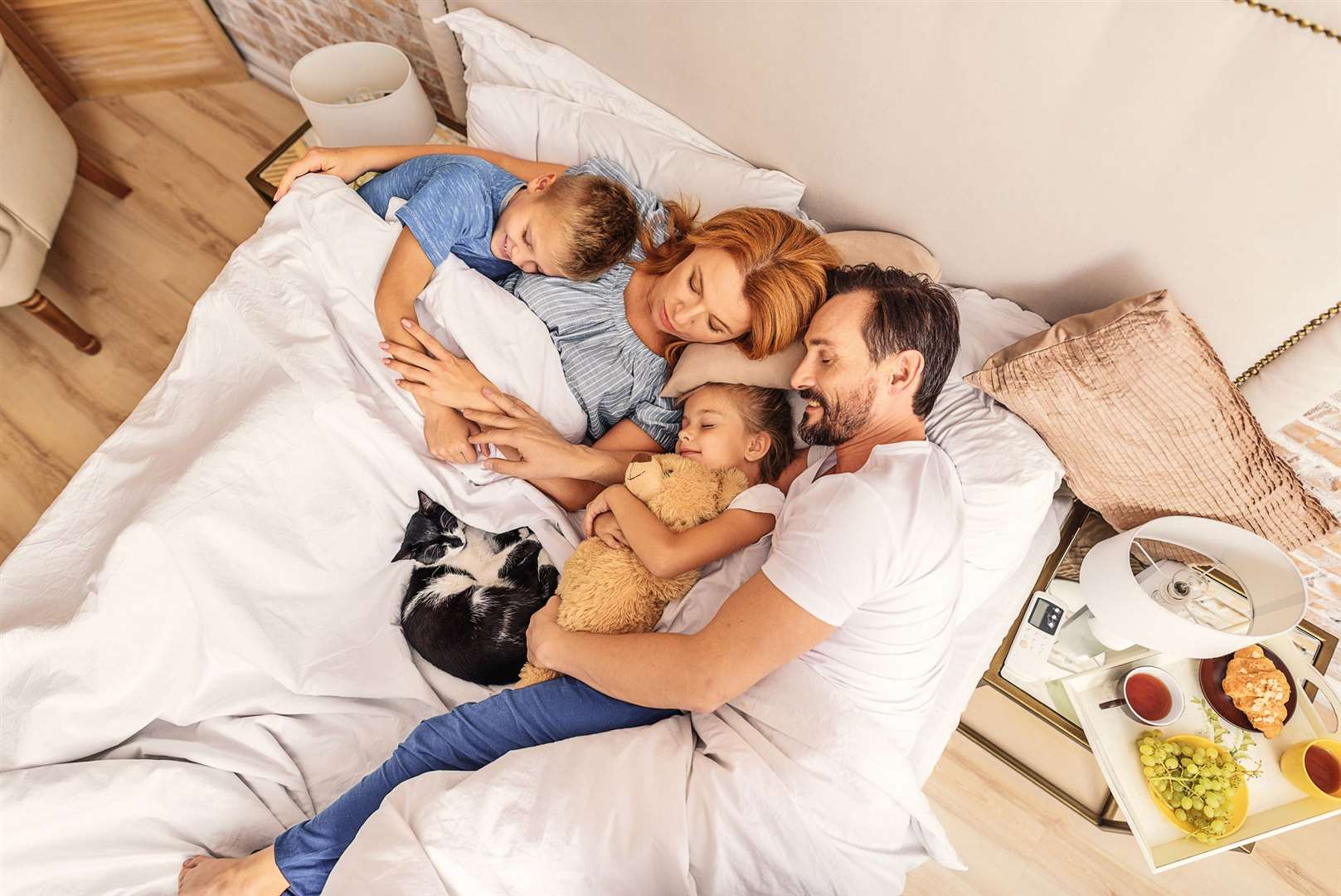 Many owners revealed they share their beds with their furry friends. Stock picture