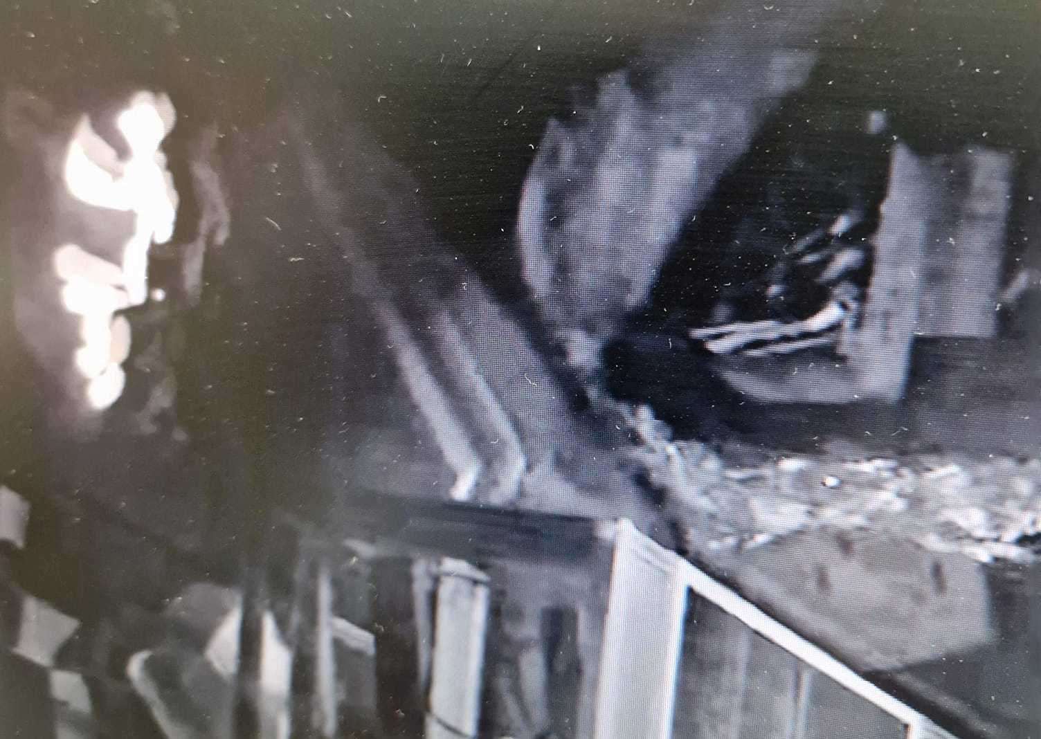CCTV of the pallets being stolen. Picture: The Pet Shop Facebook