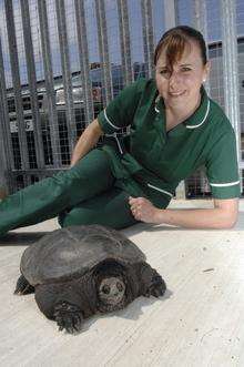 Stacey Vangent and the snapping turtle of Oare, nicknamed Buddha