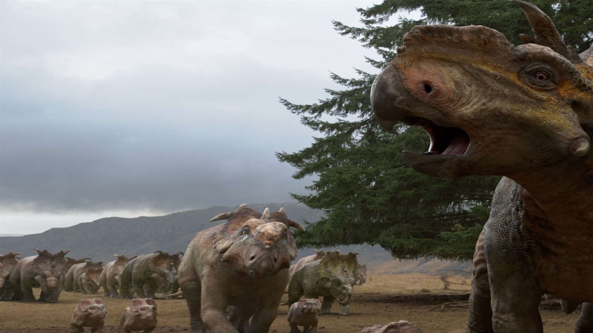 Прогулки с динозаврами в стране. Прогулки с динозаврами 3d Пахиринозавр. Прогулки с динозаврами 3 д 2013 год. Bbc прогулки с динозаврами 3.