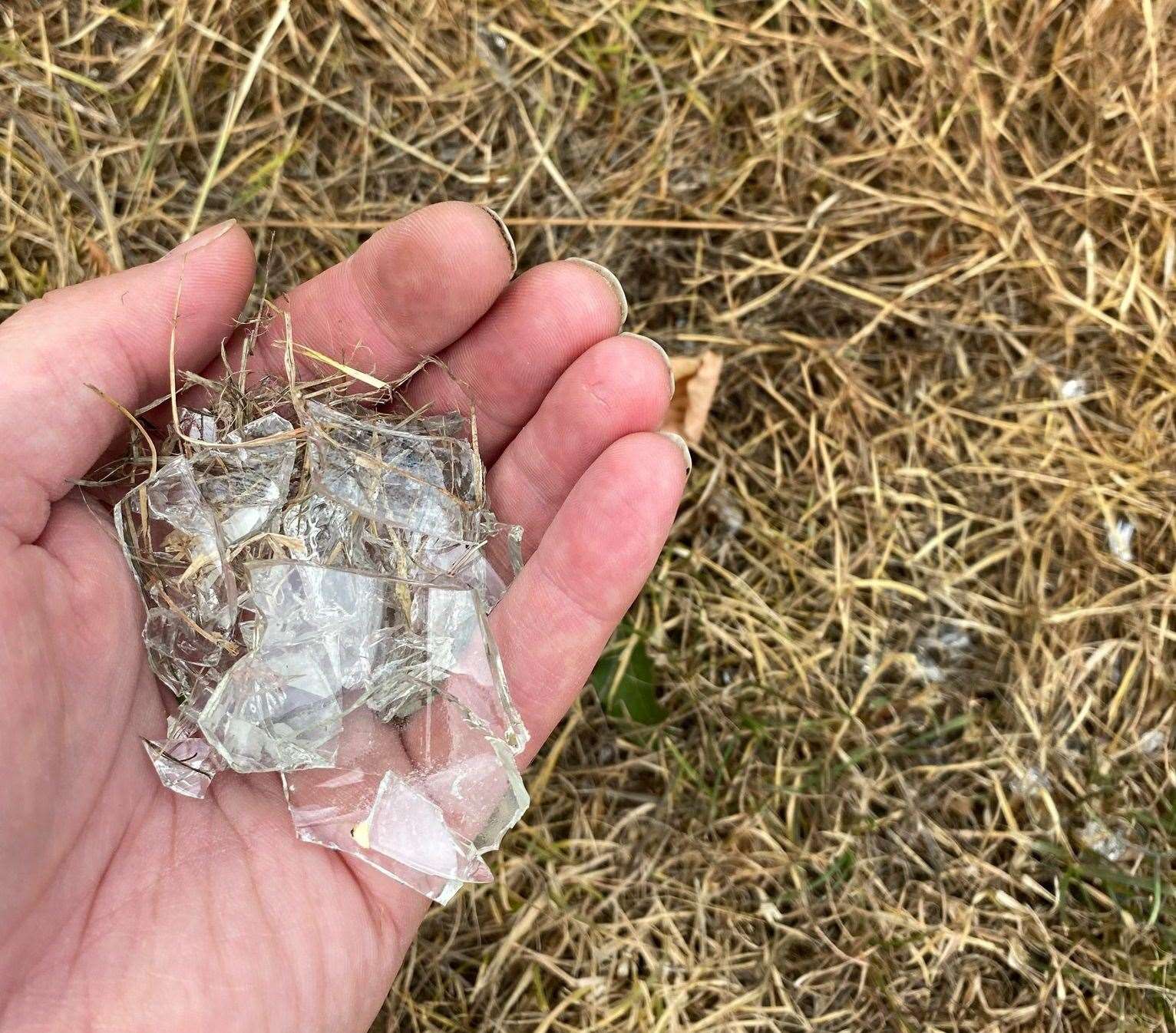 Broken glass found in the grass of the recreation ground Picture: Stuart Bourne