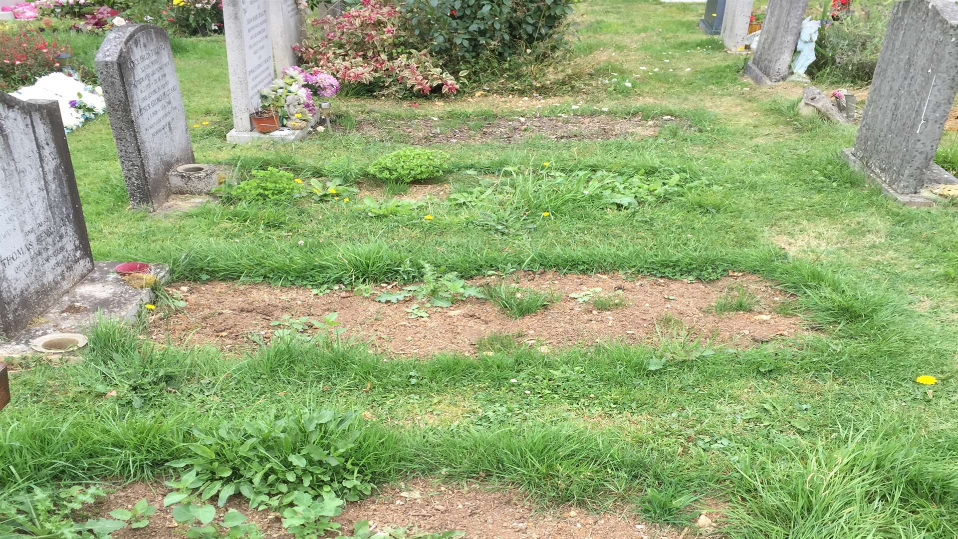 Overgrown graves at Bredhurst churchyard