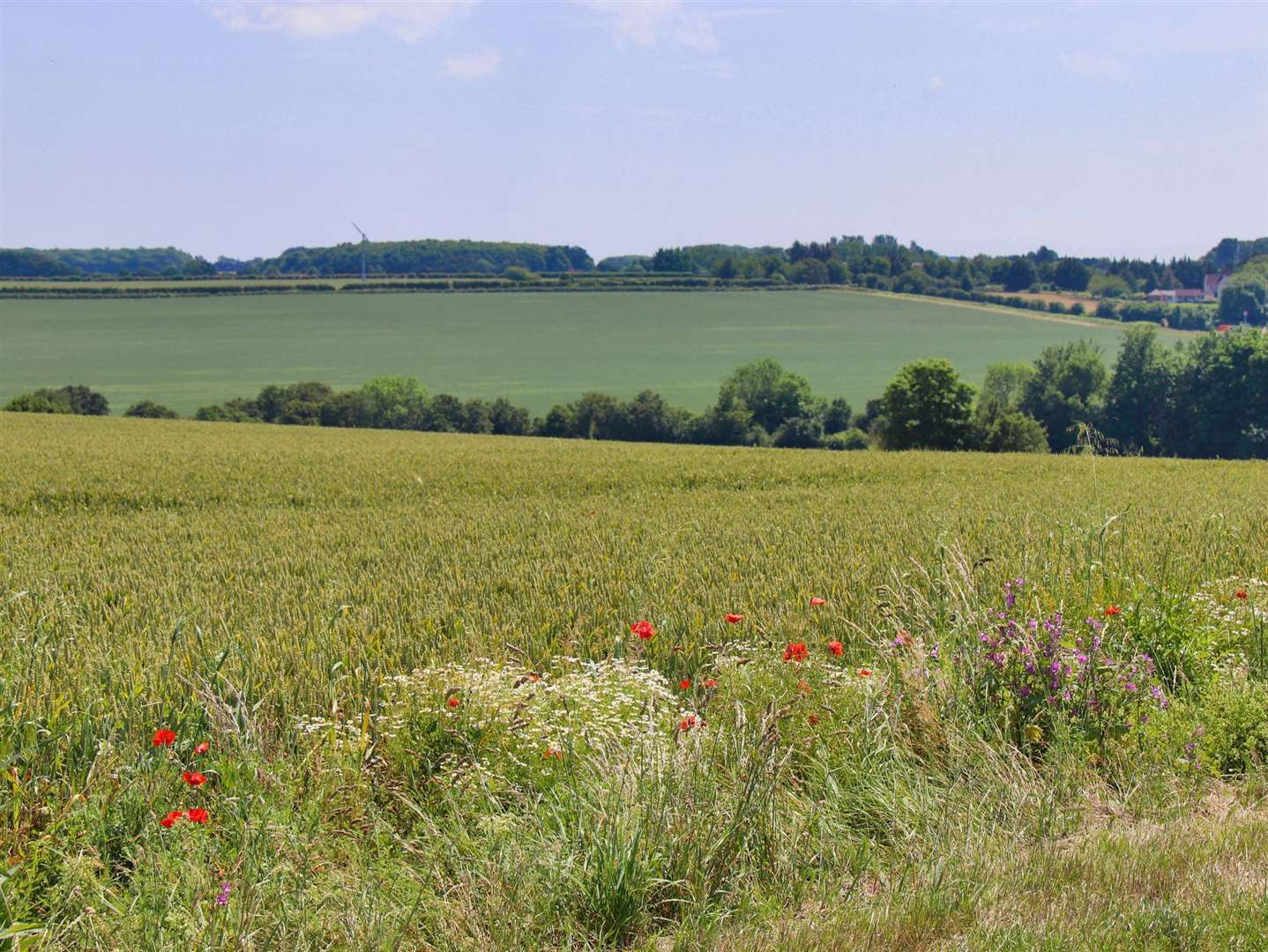 Agents expect interest from both farmer buyers and non-agricultural investors Pic: Savills