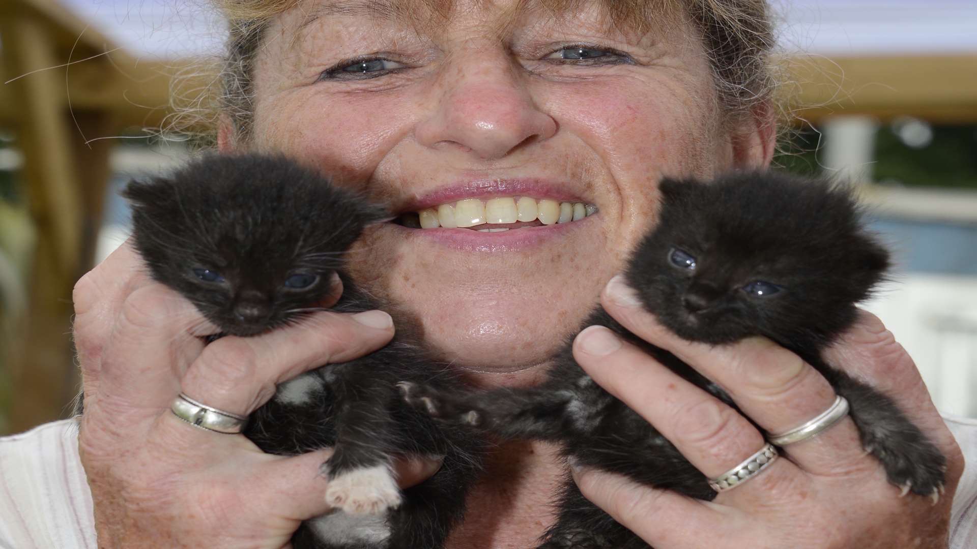 Ruth Punyer with two 15-day-old kittens. Picture: Paul Amos
