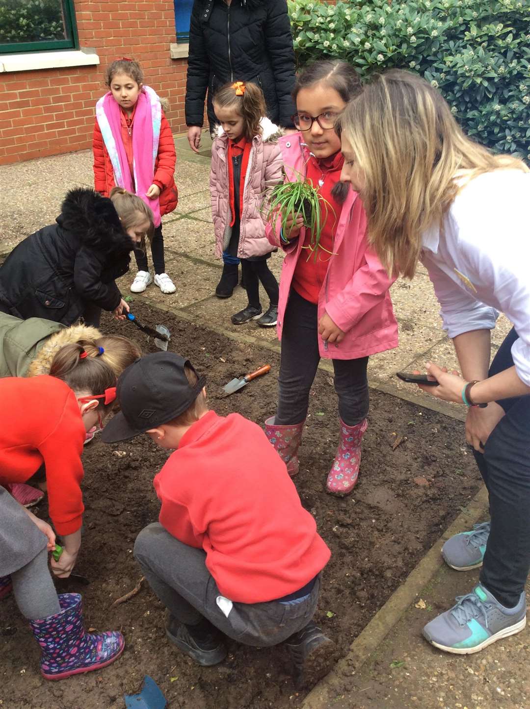 Pupils from Maundene tend to the new dementia garden at Medway Maritime Hospital (7974651)