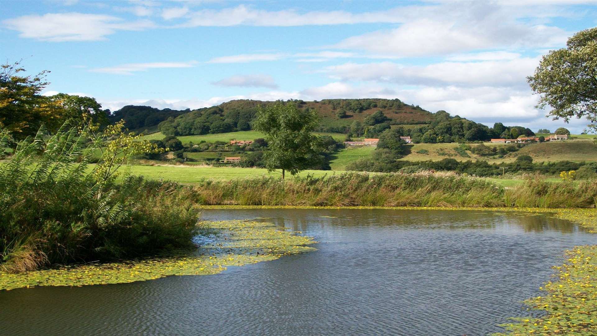 The hotel is located in one of Britain's most beautiful settings in the North Yorkshire Moors National Park