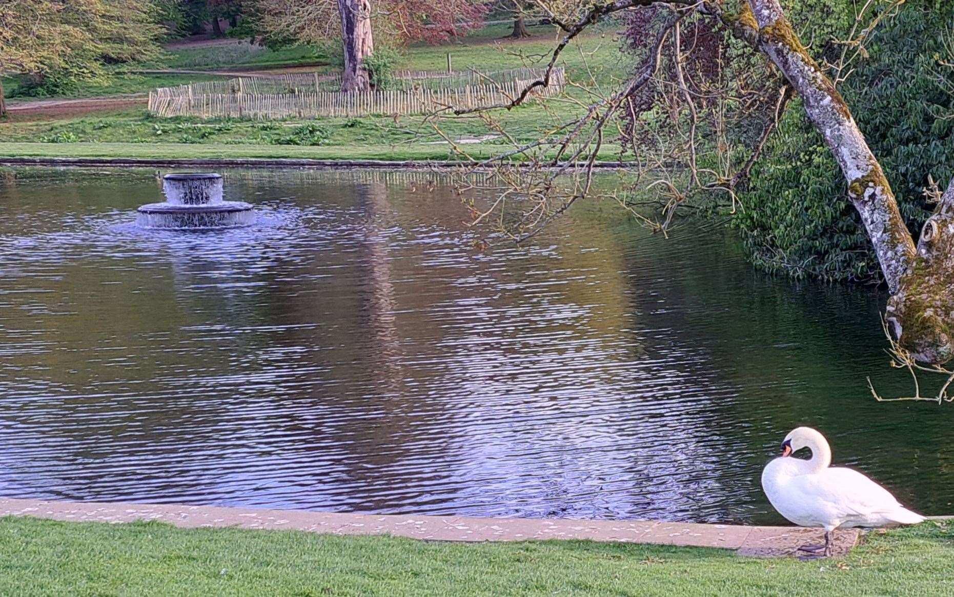 Kearsney Abbey is home to lakes, children’s play areas and woodland walks