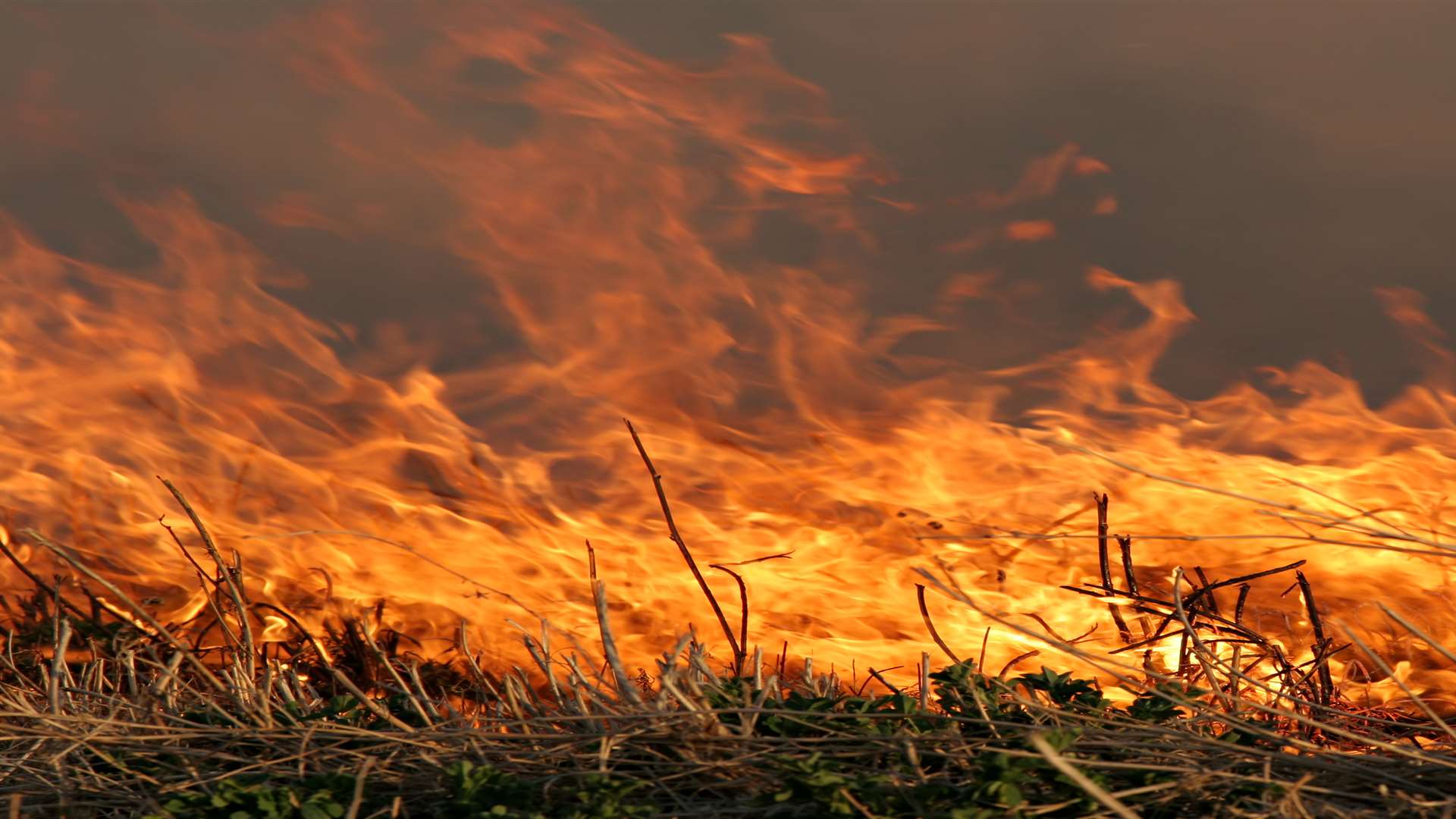 There were three outdoor fires in east Kent yesterday. File picture