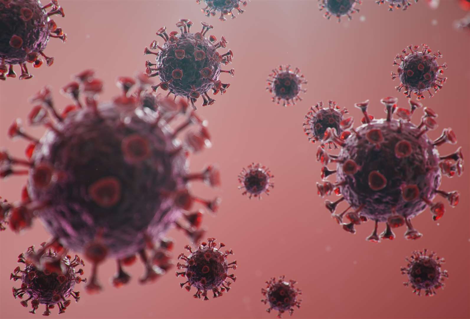 Вирус гриппа коронавирус. Вирус гриппа под микроскопом и коронавирус. Вирус коронавируса под микроскопом. Вирус Covid 19 под микроскопом. Грипп и коронавирус под микроскопом.