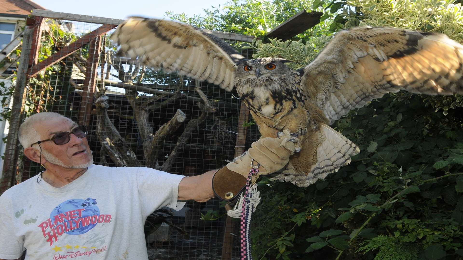 Brian Maxted's owl rescue sanctuary is at threat of closure. Picture: Paul Amos
