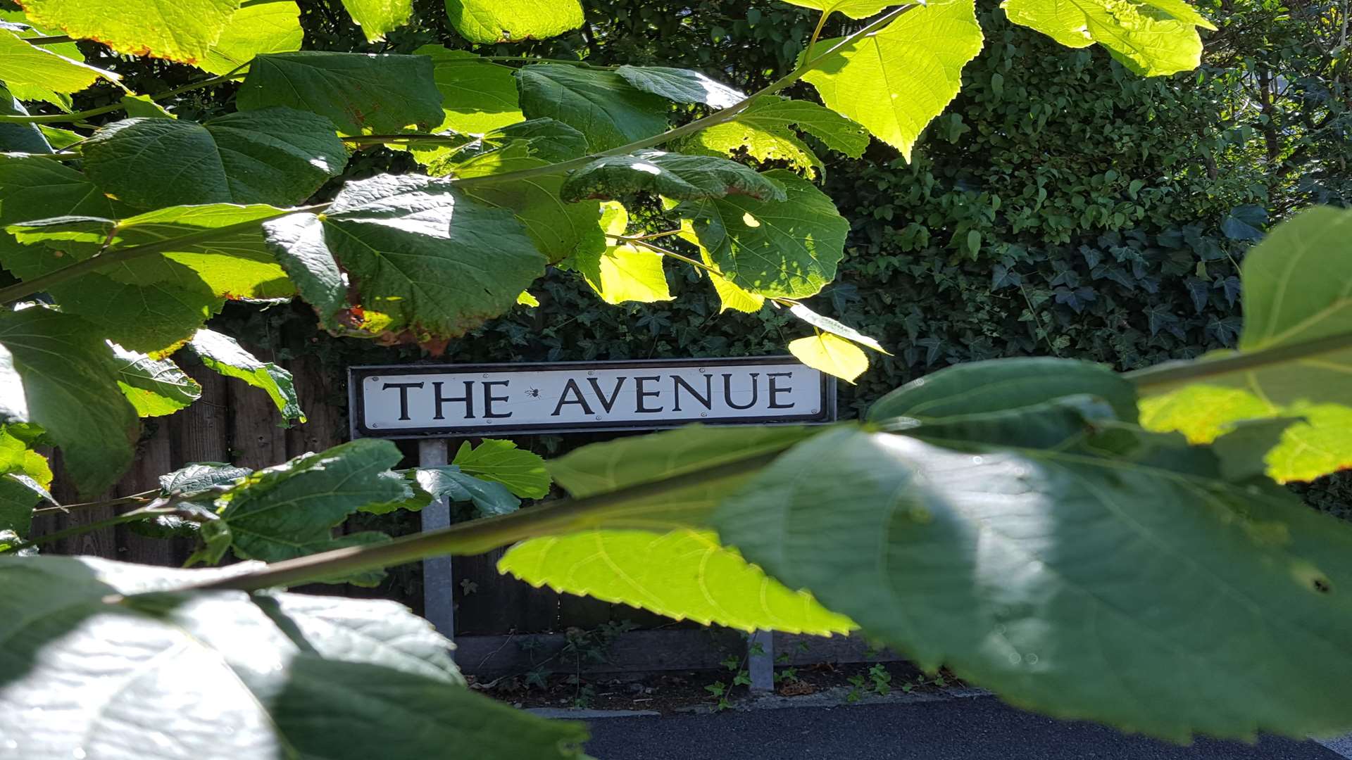 The Avenue, Gravesend