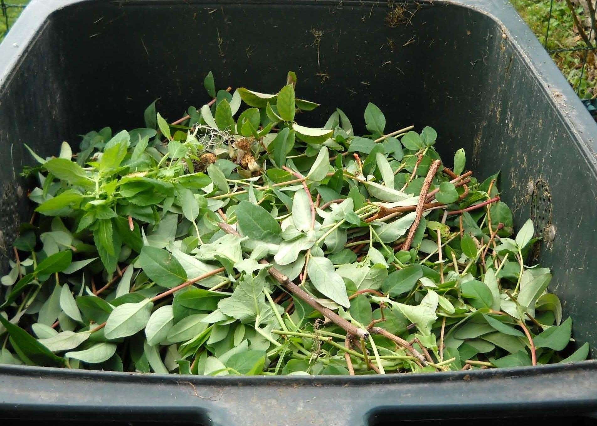 Canterbury City Council wants to introduce a £45 annual fee to collect garden waste