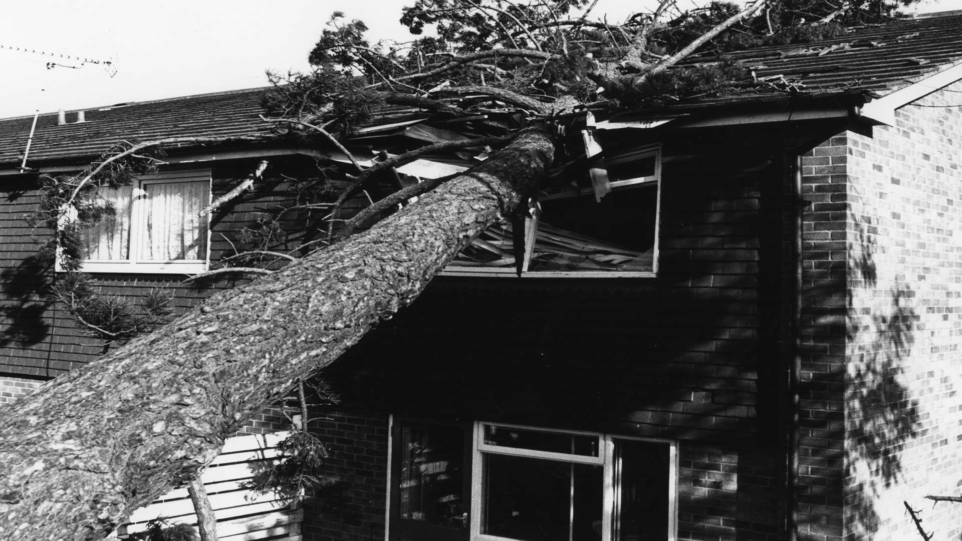 An uprooted tree that fell onto the roof of a house in Hythe Road, Ashford. Picture: Steve Salter
