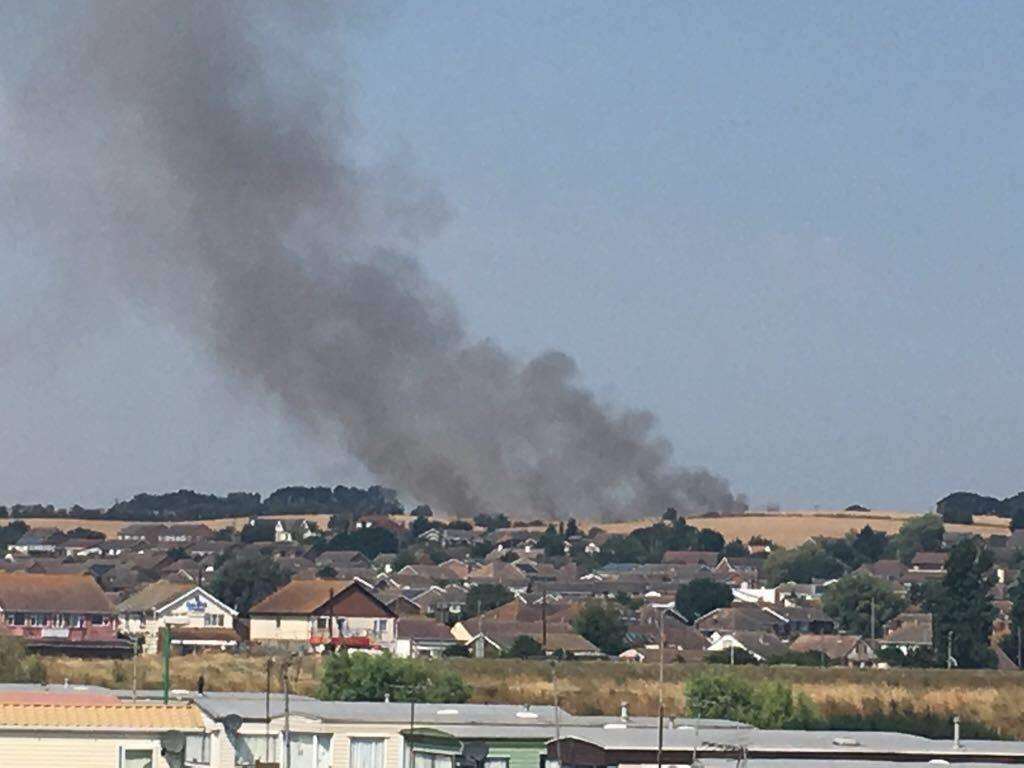Firefighters are dealing with a field fire in Warden, Sheppey (3310078)