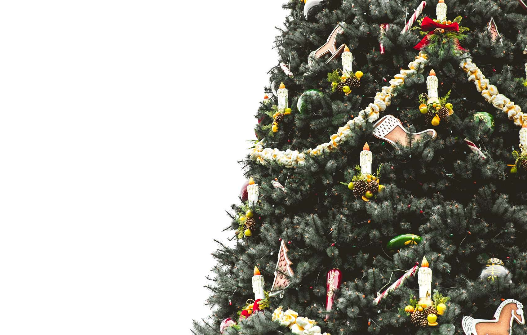 Christmas tree stock image. (5436999)