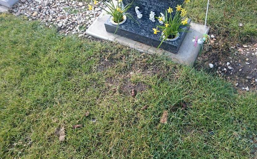 The couple found dog mess left on the grave of their twin babies