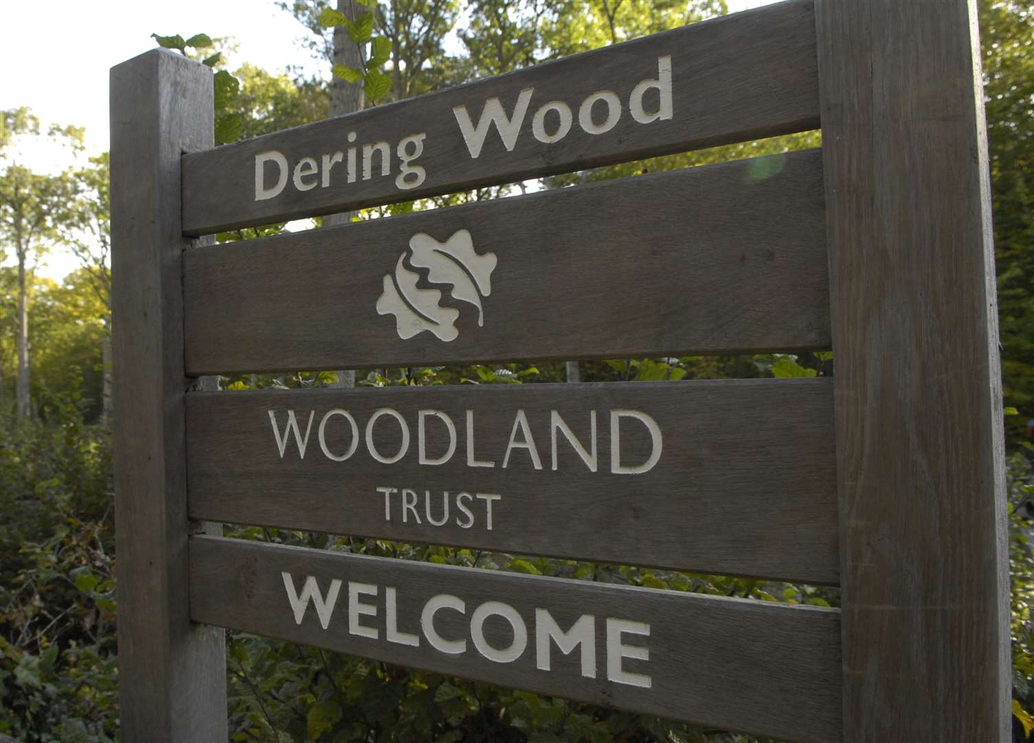 The Dering Wood car park is reopening today