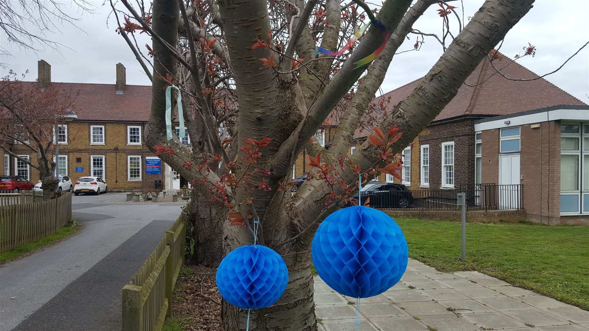 The blue decorations adorn the entrance to Deal Hospital Picture: Jim Wheeler
