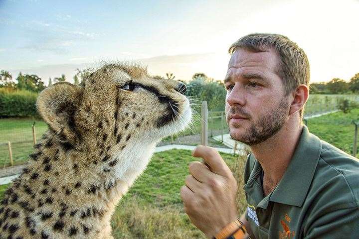 Giles Clark, director of cats and conservation at The Big Cat Sanctuary, with Willow the Cheetah. Picture: The Big Cat Sanctuary