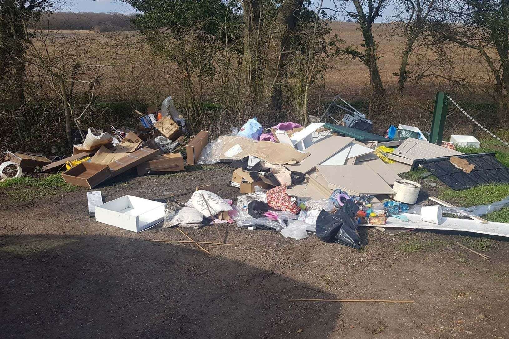 The rubbish dumped in Denstroude Lane. Picture: Canterbury City Council