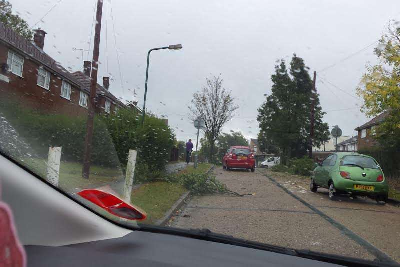 a mini-tornado caused this damage in Leander Road, Rochester