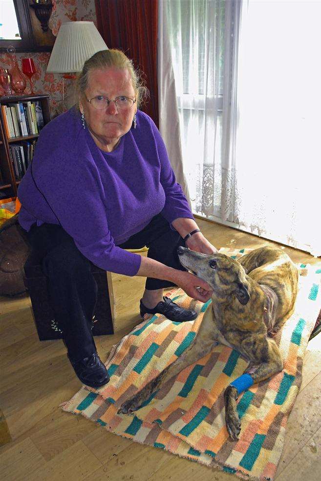Sue Holman with injured greyhound Tiger