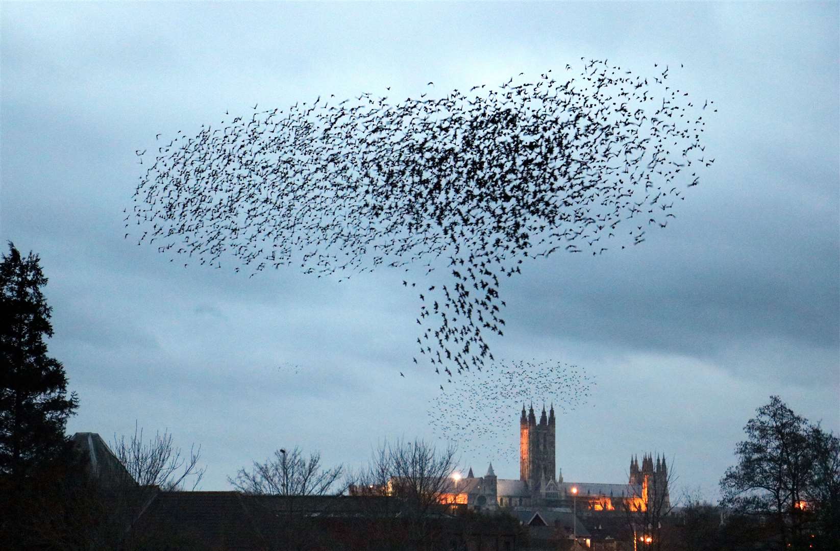 Jim Higham's picture of Canterbury in the Kent Wildlife trust photographic exhibition. Jim Higham
