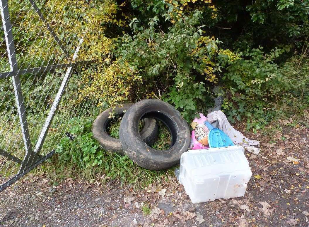 Items including a tyre were left at the side of the road in Old Charlton Road.