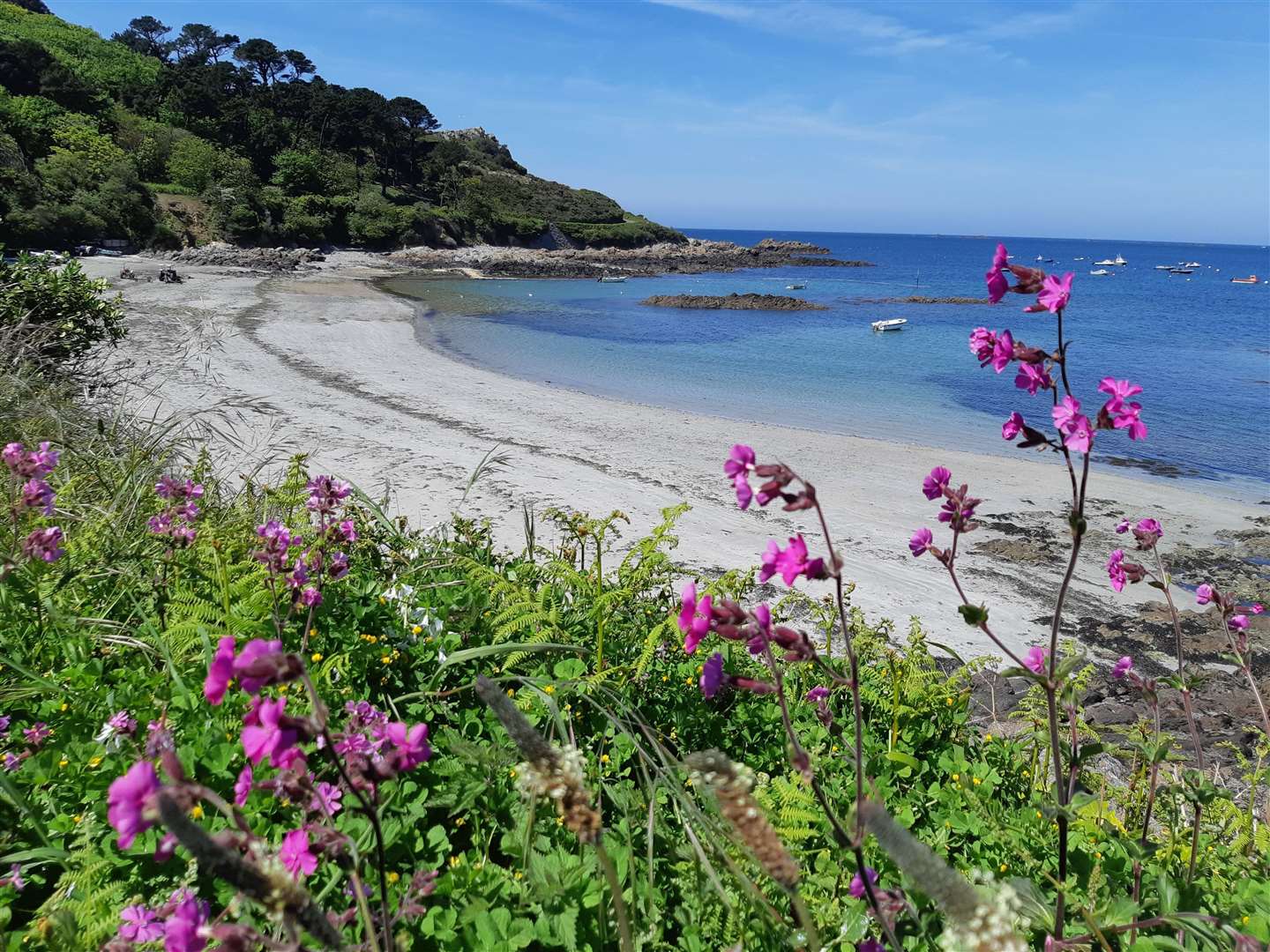 One of the beaches in Guernsey (12430511)