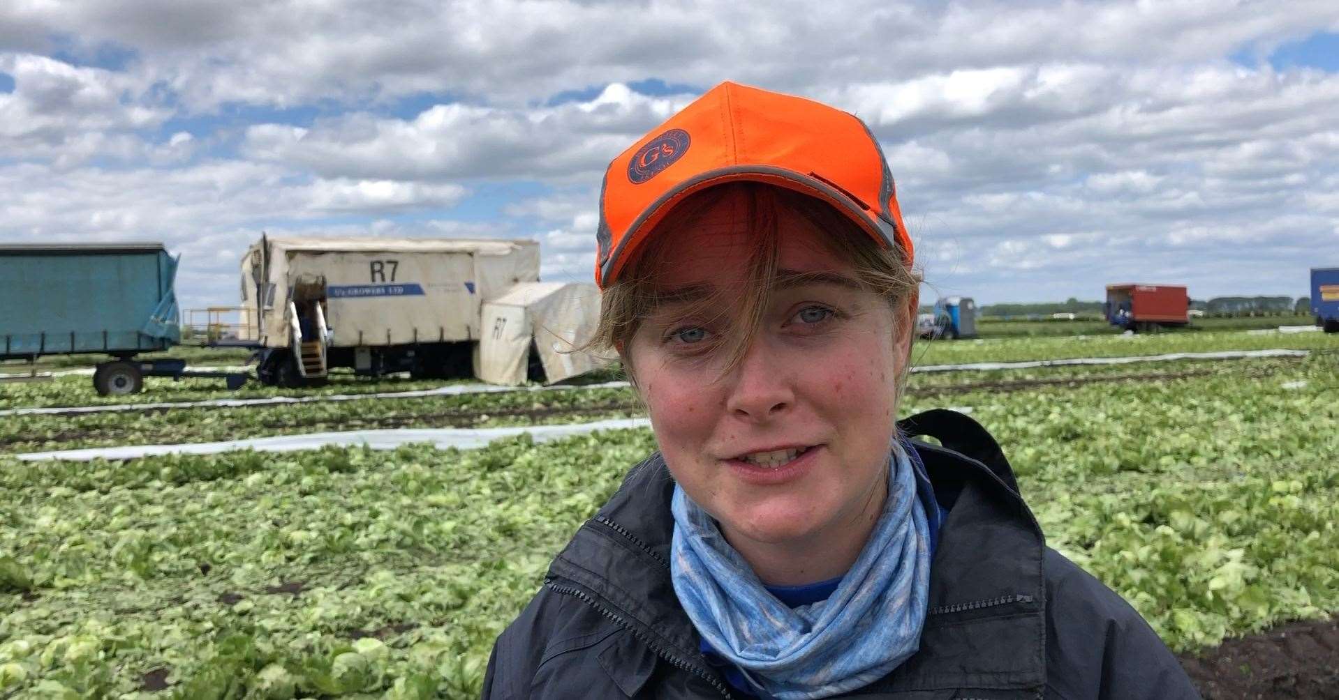 PHYSICAL WORK: Lucy is a lettuce picker on a G’s farm
