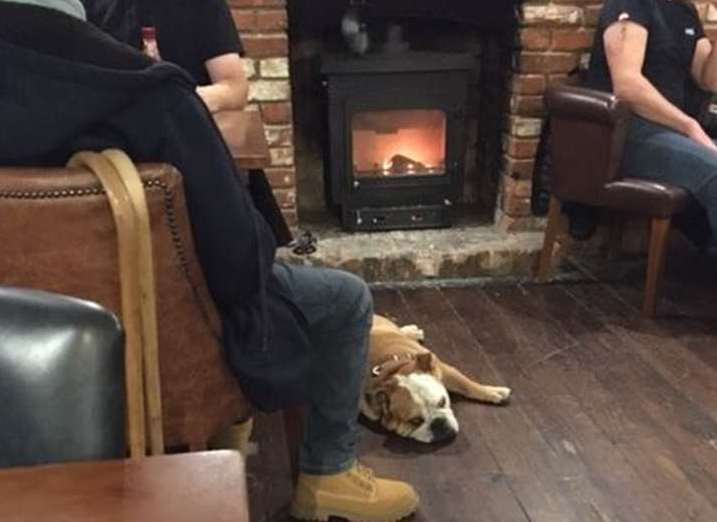 Home to two wonderful British bulldogs, you’ll do well to get a turn in front of the log burner at The Coach House