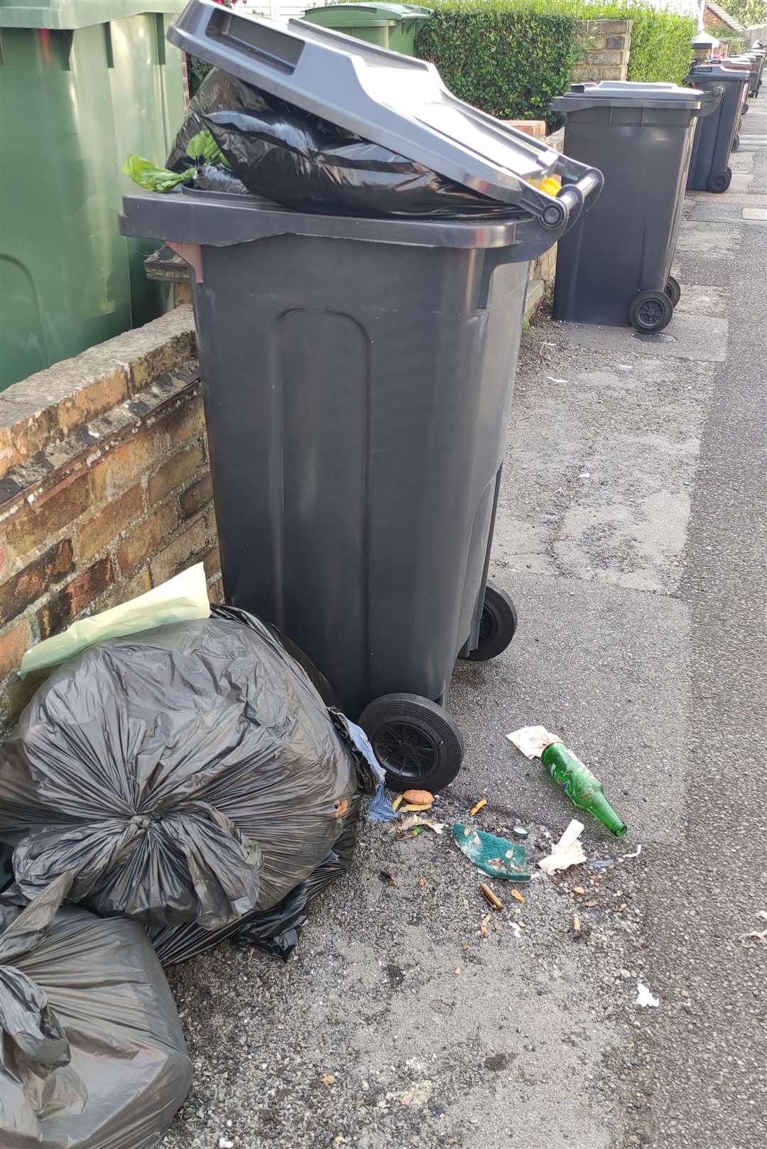 Black bin collections were missed in Victoria Road. Picture: James Benge