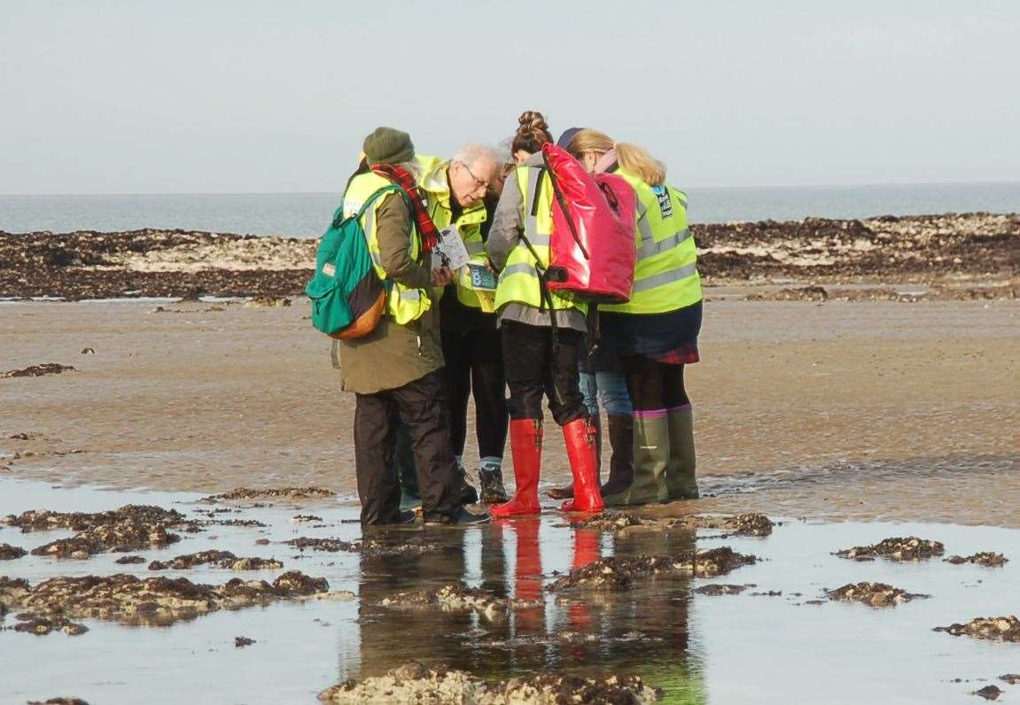 Wildlife volunteers were told to stand down after a discharge in Margate waters. Picture: Elaine Newman